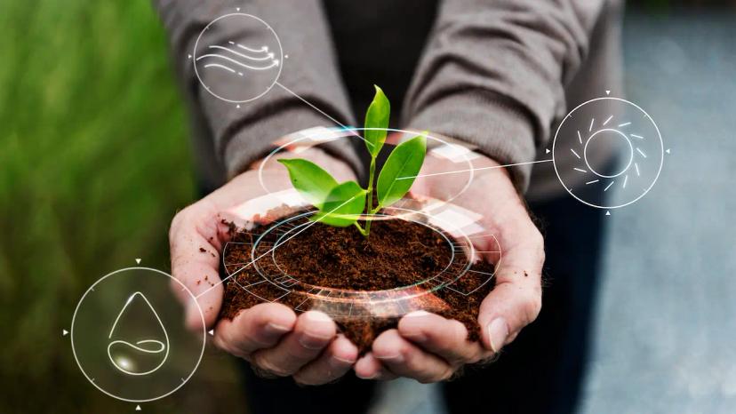 Curso de ECOLOGIA E DESENVOLVIMENTO SUSTENTÁVEL