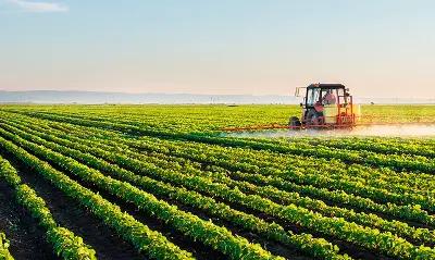 Curso de AGRONEGÓCIO